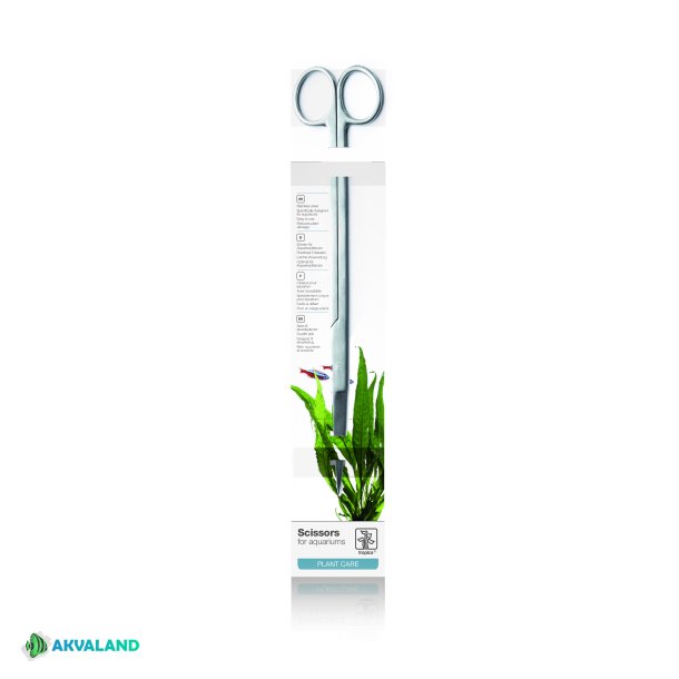 TROPICA Plante Saks - 25 cm