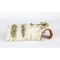 AQUA DELLA - Burk - M - 19.5x11.5x7.1cm