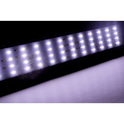 HAPPET Max White LED
