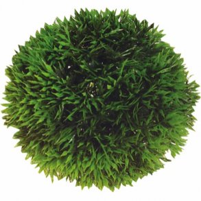 HOBBY Plant Ball - 13cm