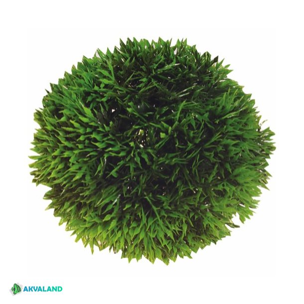 HOBBY Plant Ball - 9cm