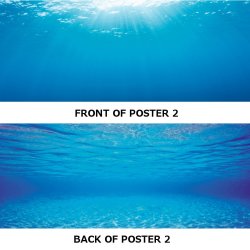JUWEL Poster 2 - 60x30cm - Water