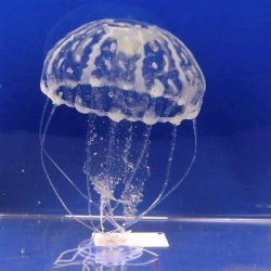 JBL Medusa XL - Blue