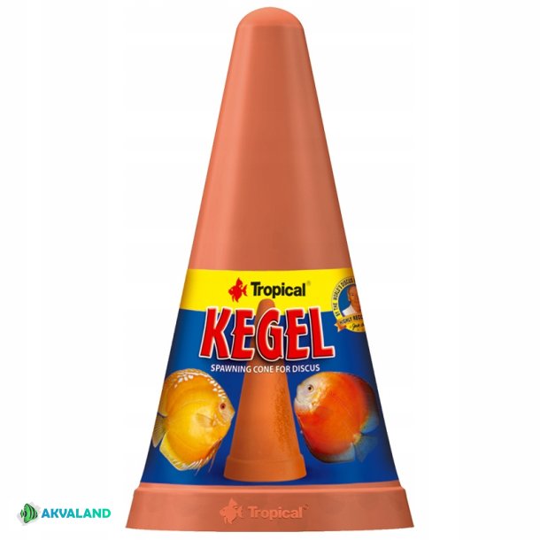 TROPICAL Discus legekegle