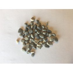 Akvariegrus Alps - 2.5kg