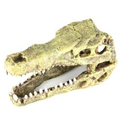 AQUA DELLA - Crocodile Head - M - 19.5x9.5x10cm
