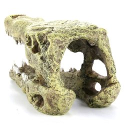 AQUA DELLA - Crocodile Head - M - 19.5x9.5x10cm