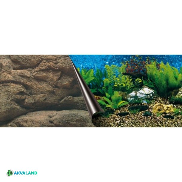 EBI - 60x30cm - Sea / Rock