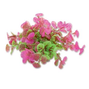 HAPPET Kunstig plante (1F11)