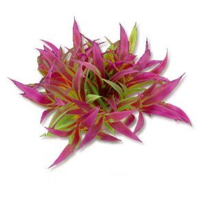 HAPPET Kunstig plante (1F24)