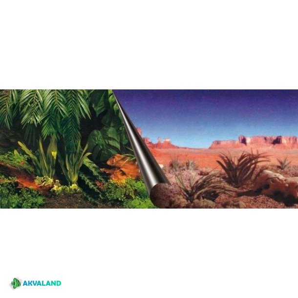 EBI - 60x30cm - Jungle / Desert