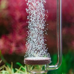 NEO CO2 Akryl Diffuser Extended Special - L 