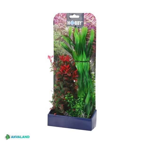 HOBBY Plantasy Set 2