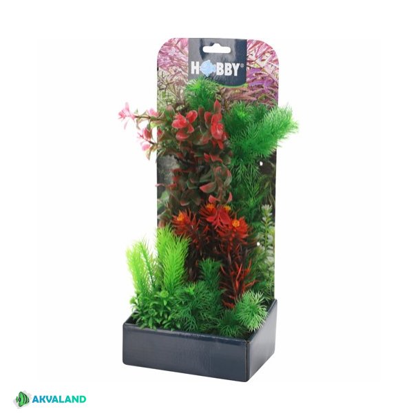 HOBBY Plantasy Set 3