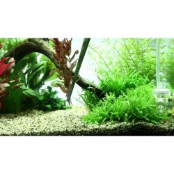 AQUA NOVA Pincet 27cm Lige