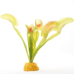 YUSEE - Dionaea Muscipula 