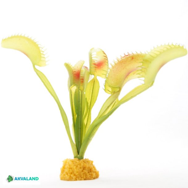 YUSEE - Dionaea Muscipula 